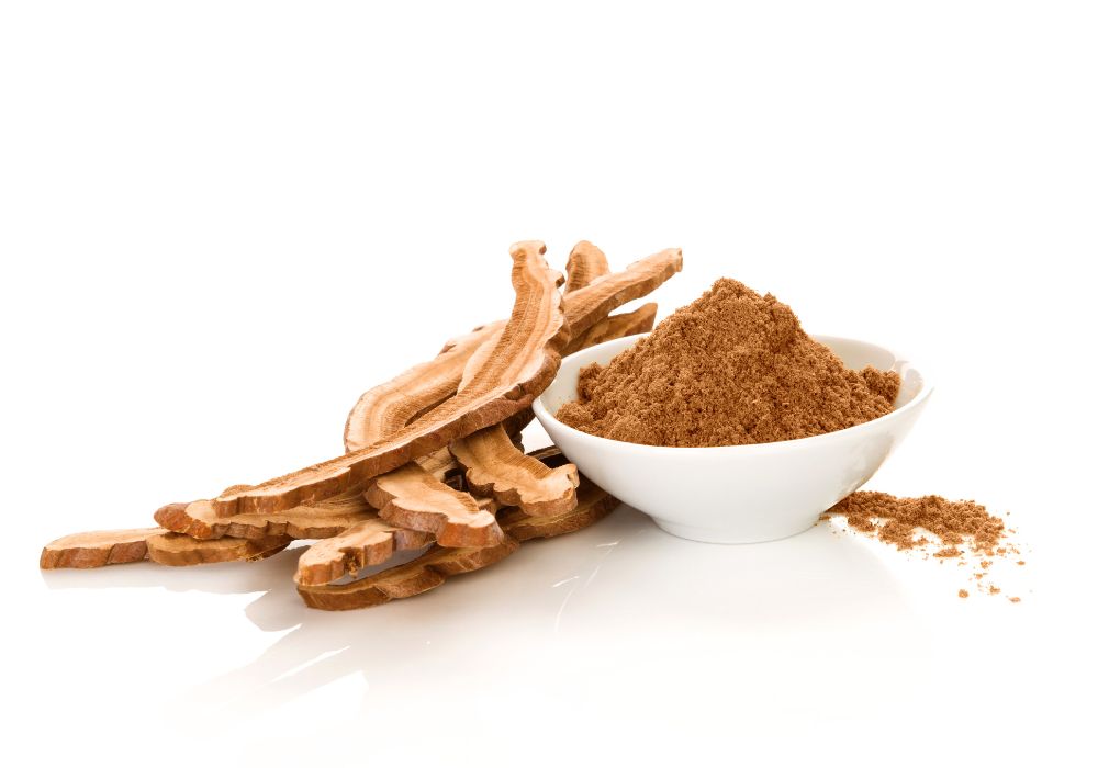 reishi (1)